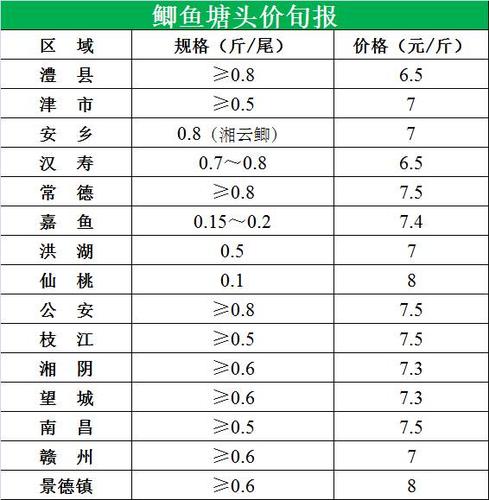 2025年1月7日 第13页